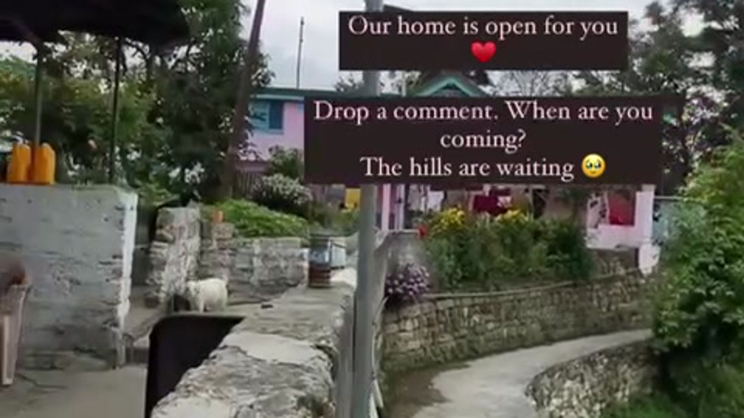 All Videos
